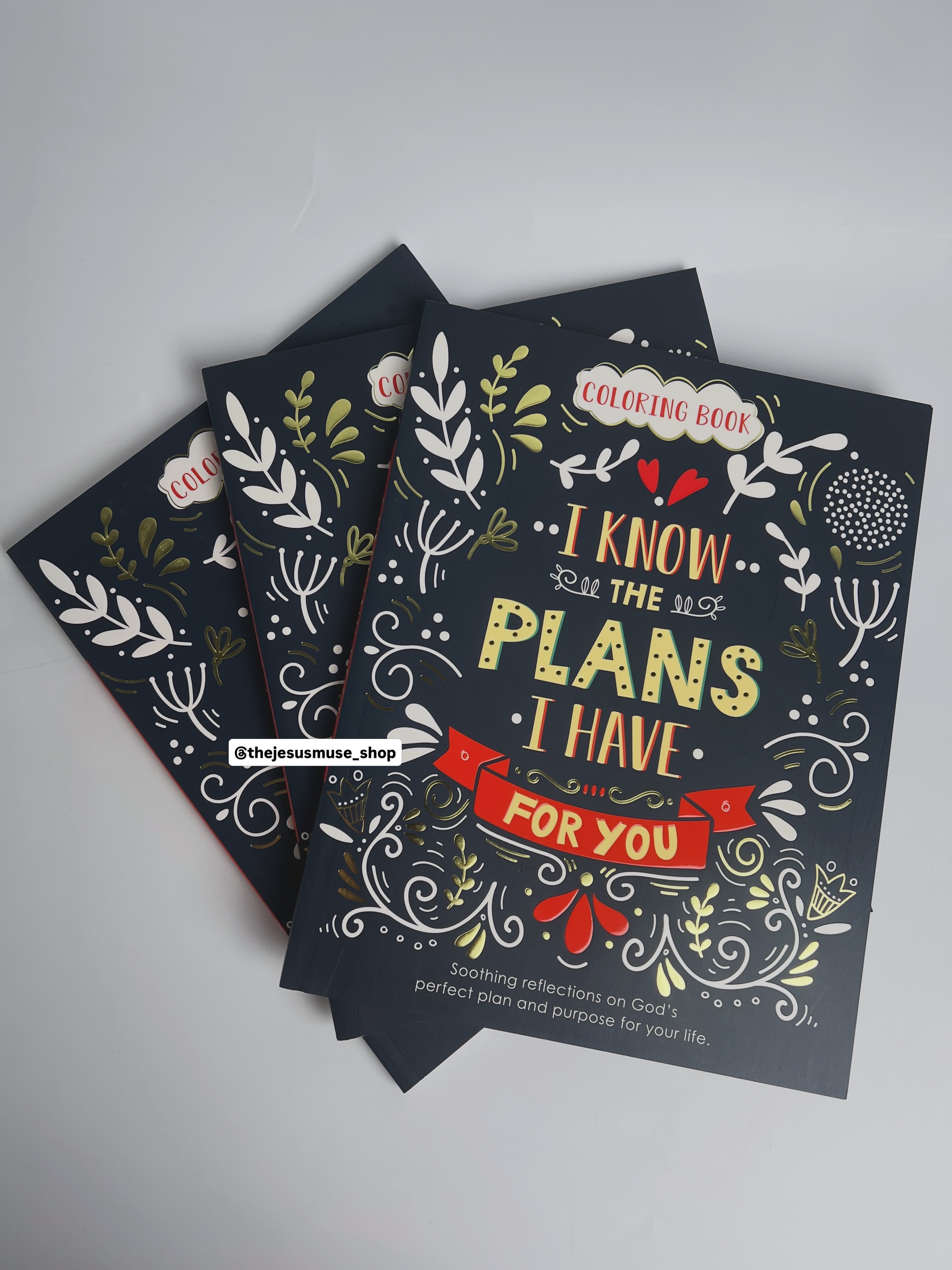 I Know The Plans-Coloring Book