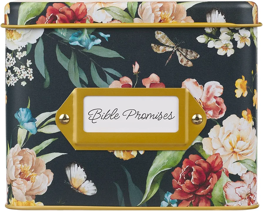 Bible Promises-Scripture Cards/LargeTin