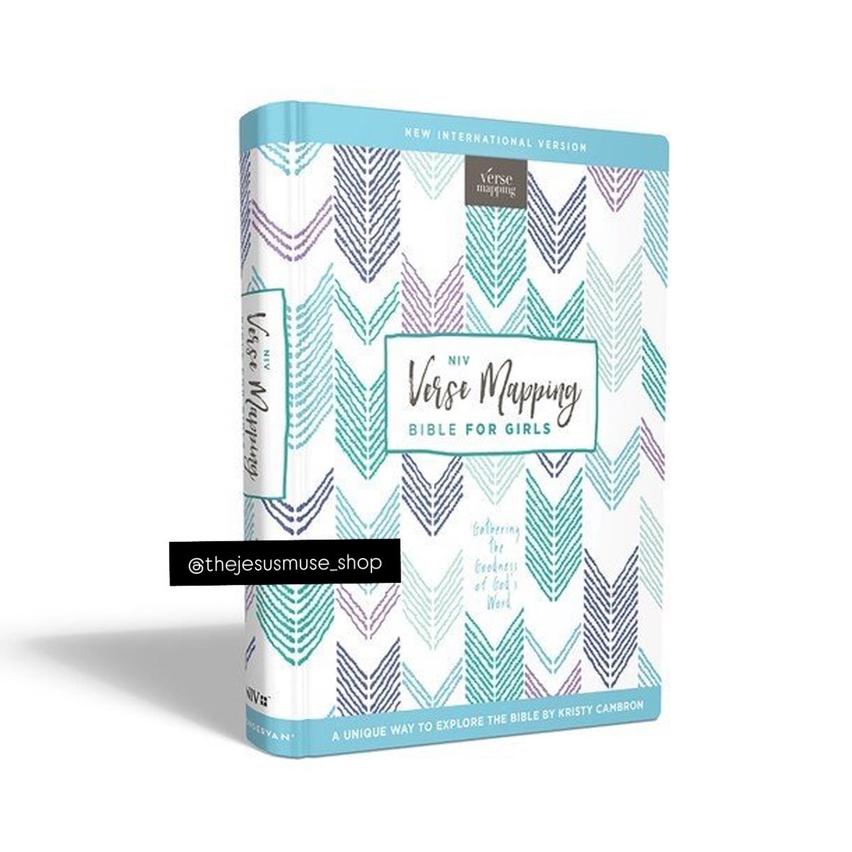 NIV Verse Mapping Bible for Girls