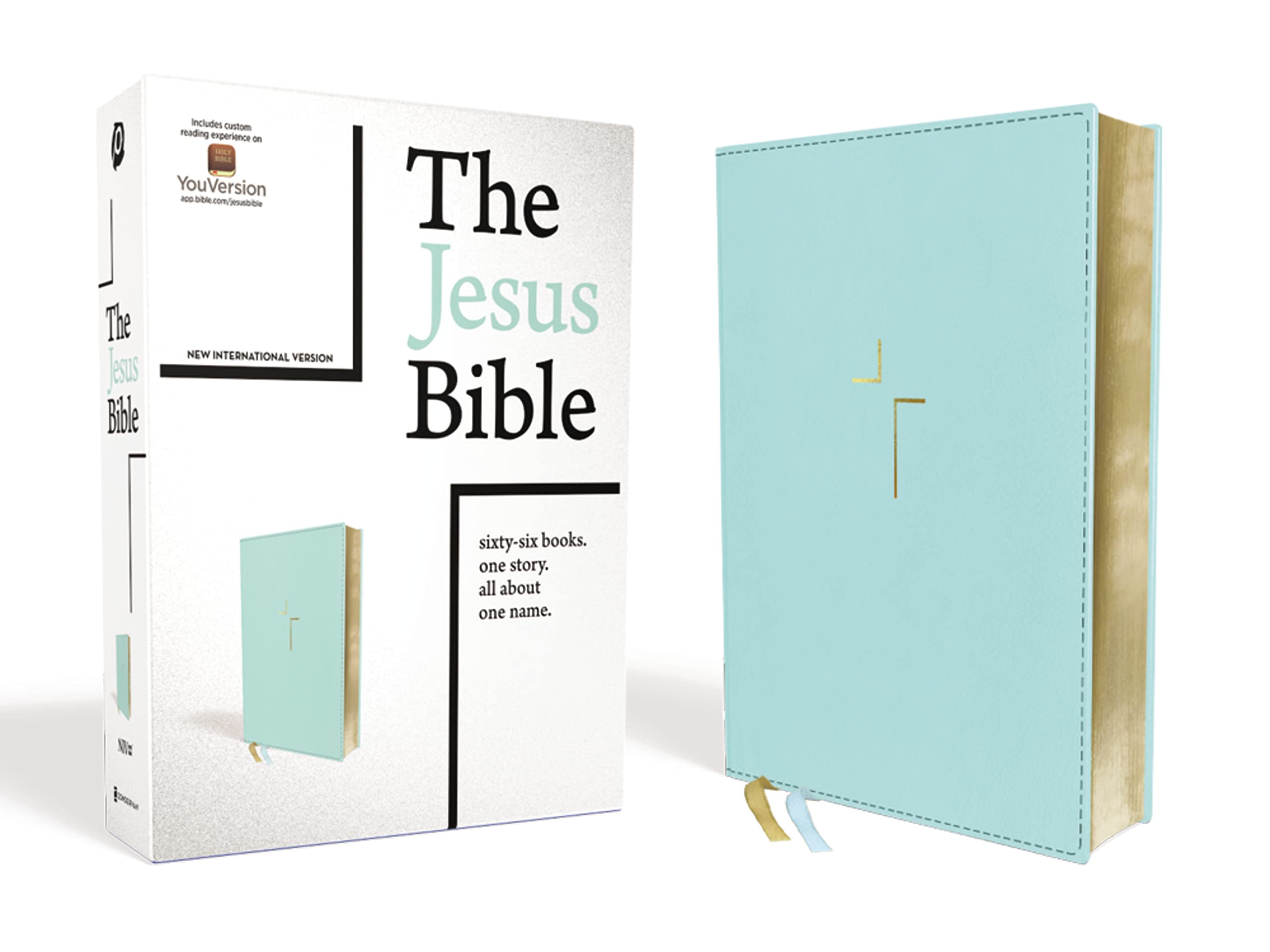 NIV The Jesus Bible-