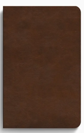 ESV CONCISE STUDY BIBLE